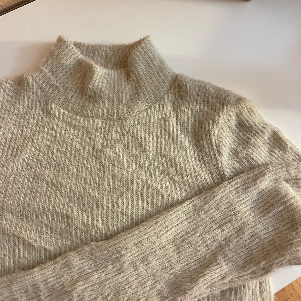 Zara Turtleneck